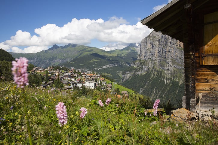 Mürren im Summer