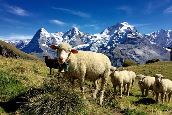 Mürren im Sommer